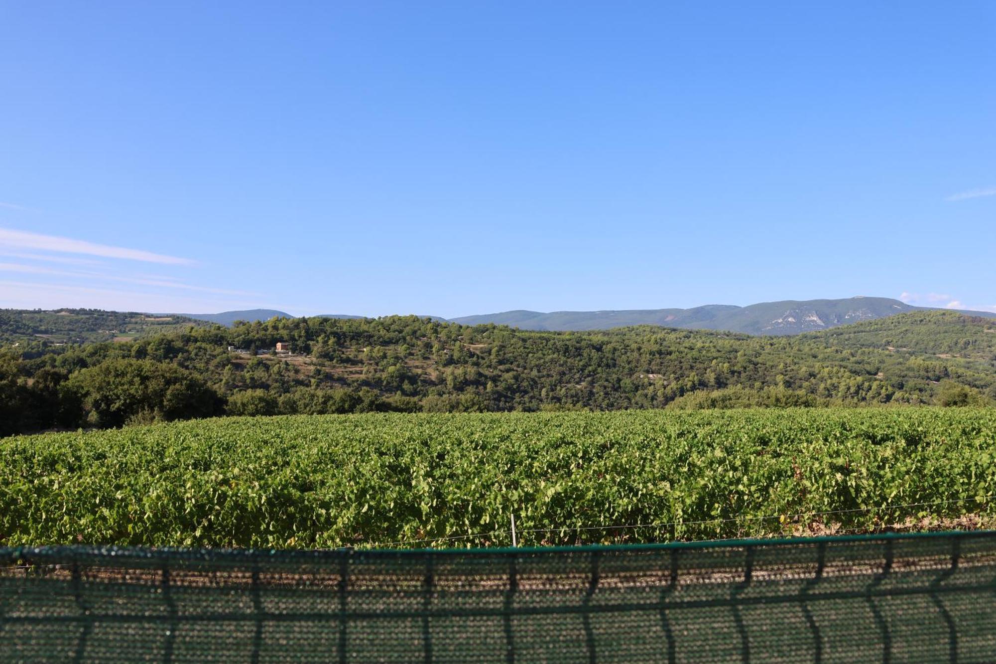 Les Vignes Du Luberon Saignon Exterior foto